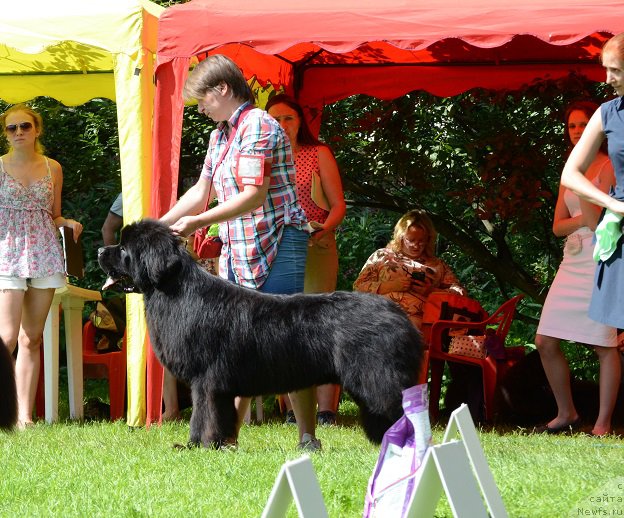 Фотография № 211501