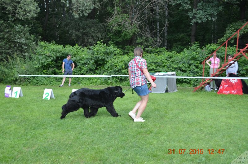 Фотография № 211503