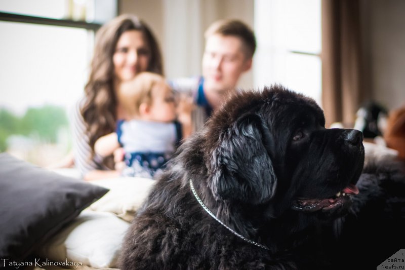 Фотография № 211513