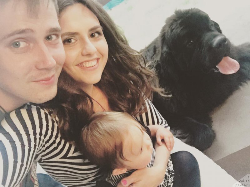 Фотография № 211514