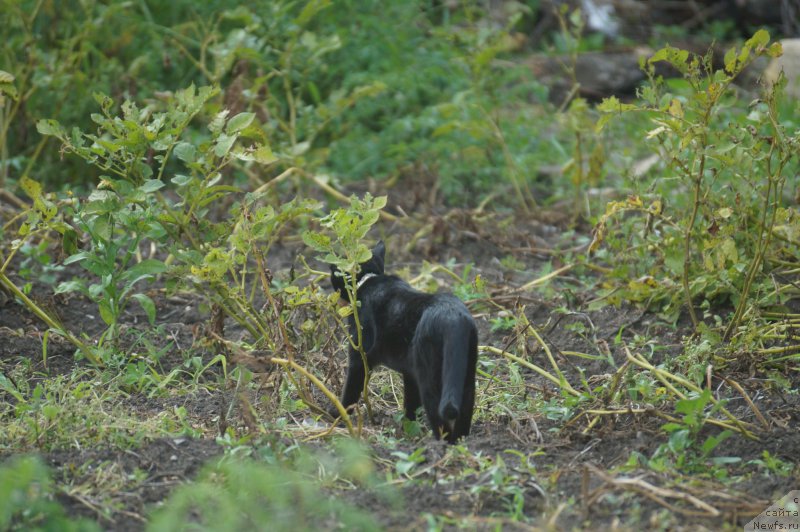 Фотография № 211521