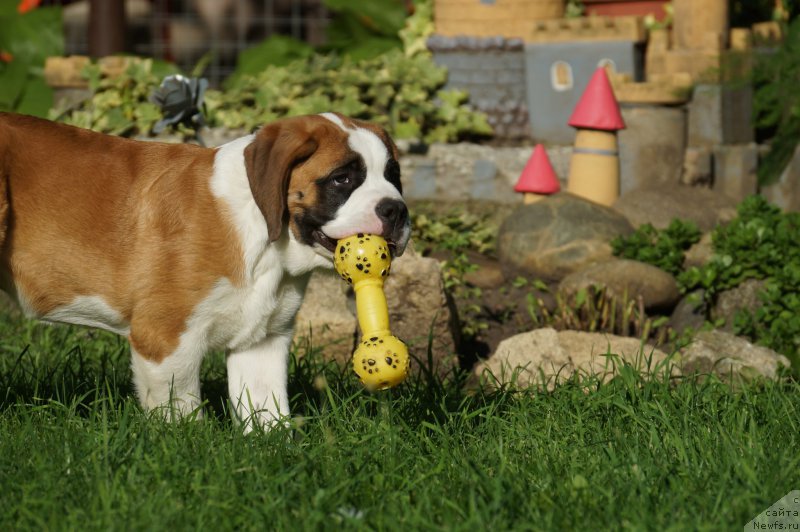 Фотография № 211522