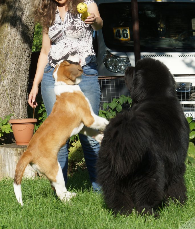 Фотография № 211523