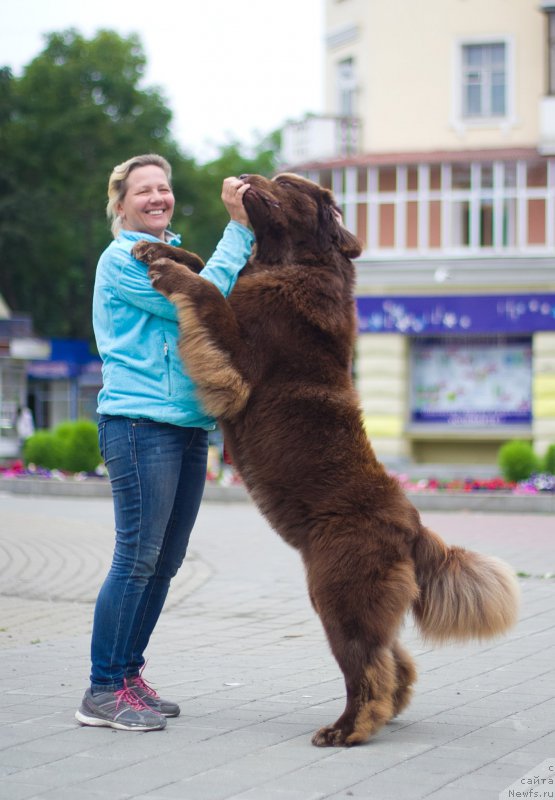 Фотография № 211535