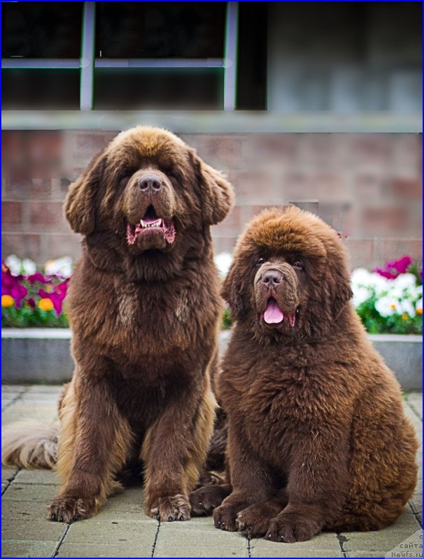 Фотография № 211543