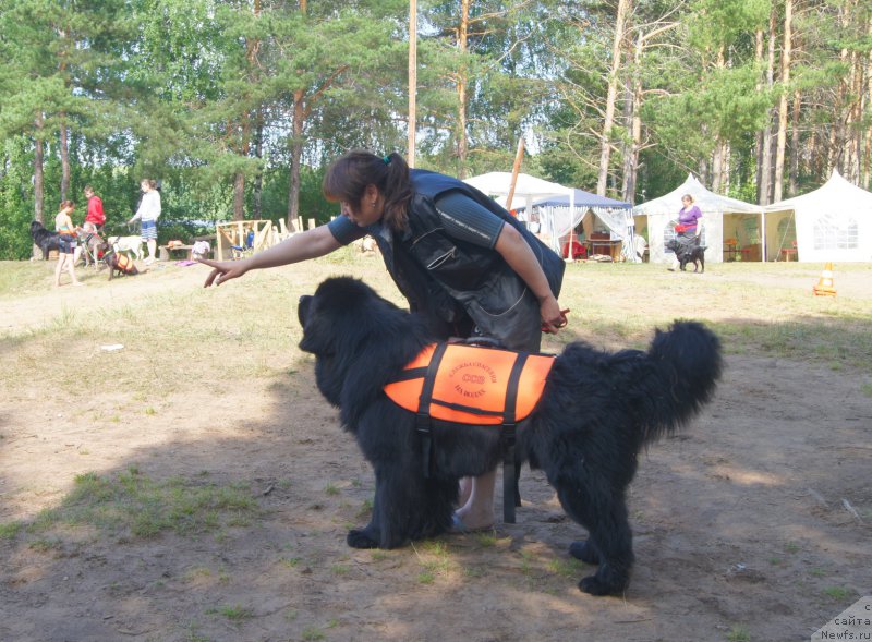 Фотография № 211562