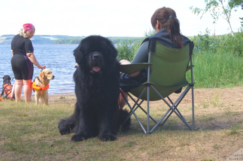 Фотография № 211563