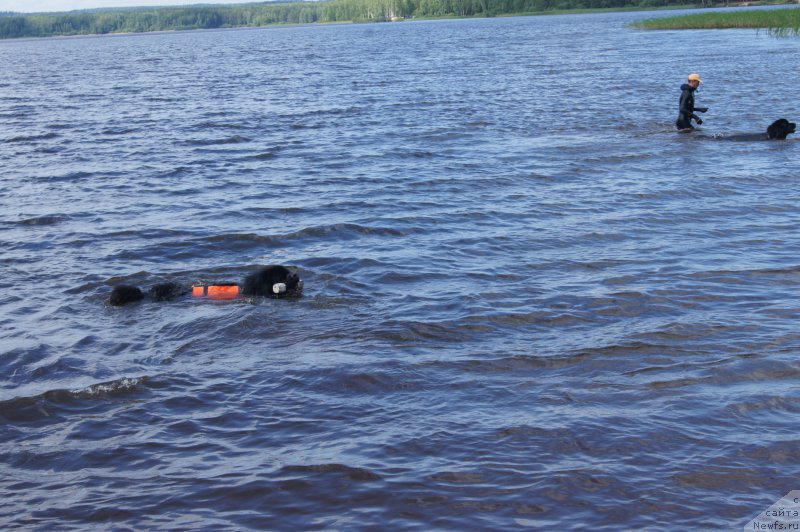 Фотография № 211564