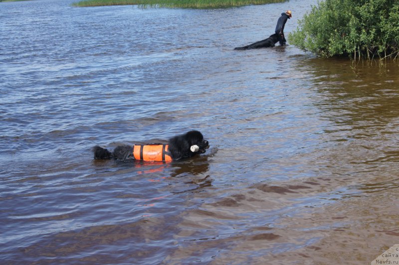 Фотография № 211565