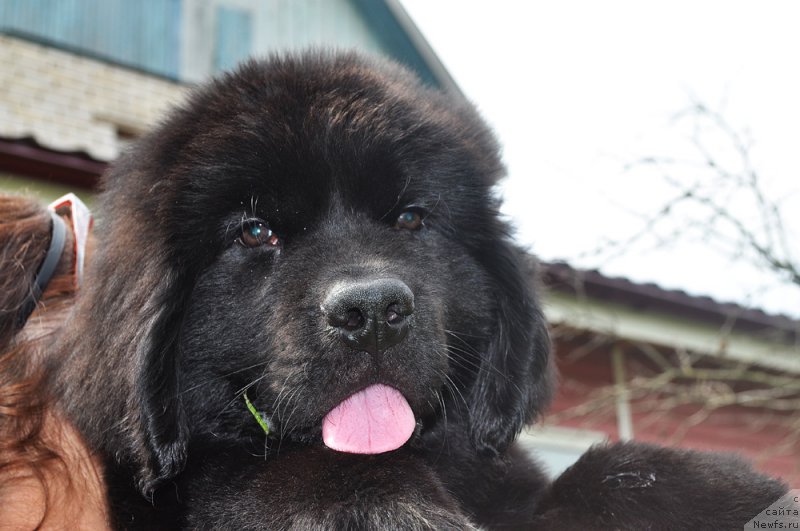 Фотография № 211572