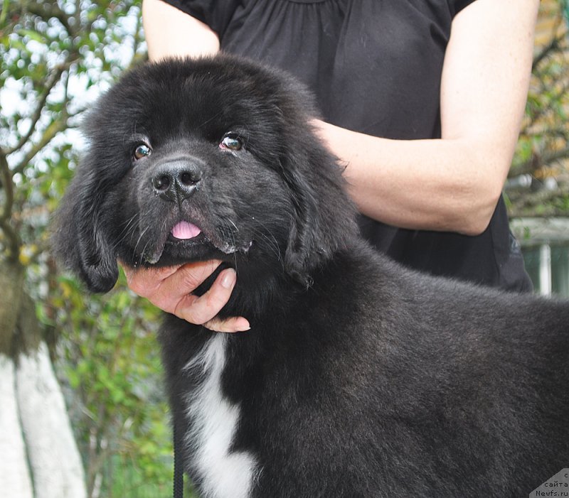 Фотография № 211575