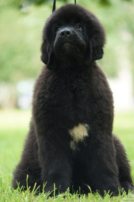 Фотография № 211576