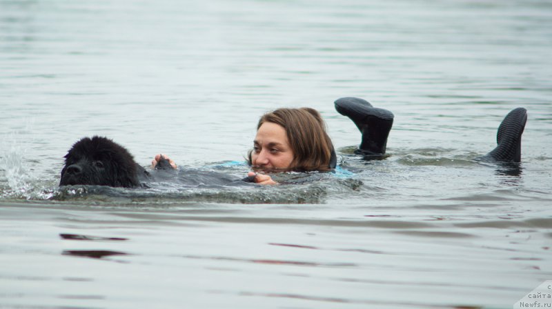 Фотография № 211579