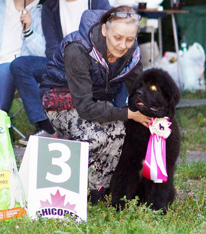 Фотография № 211580