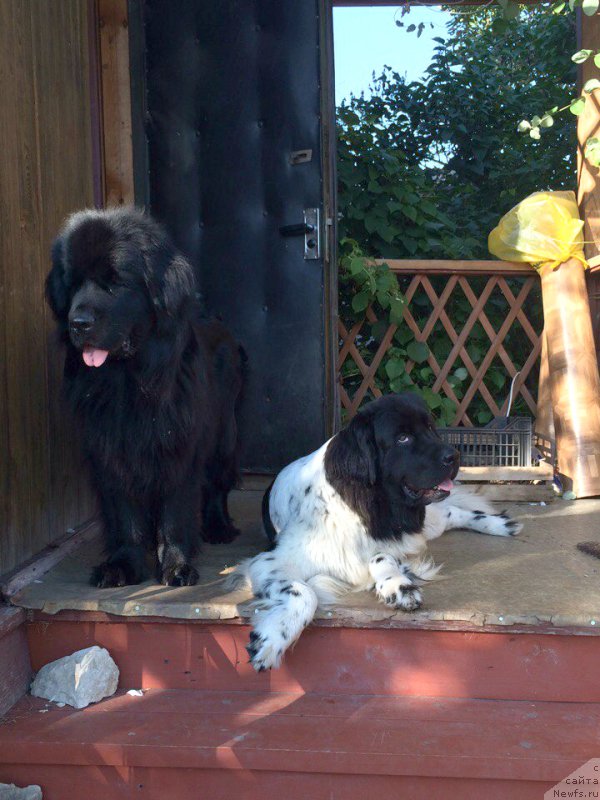 Фотография № 211607