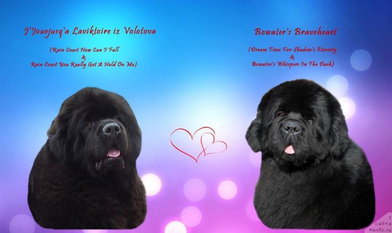 Фотография № 211691