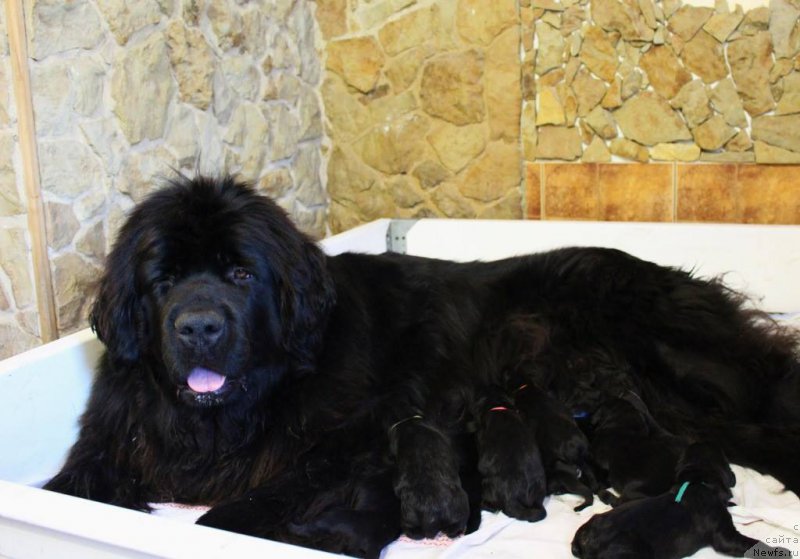 Фотография № 211692