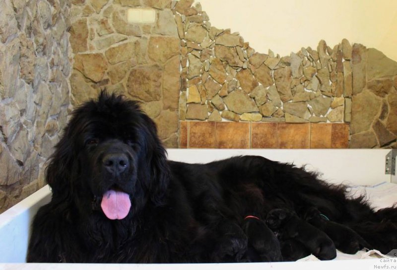 Фотография № 211693