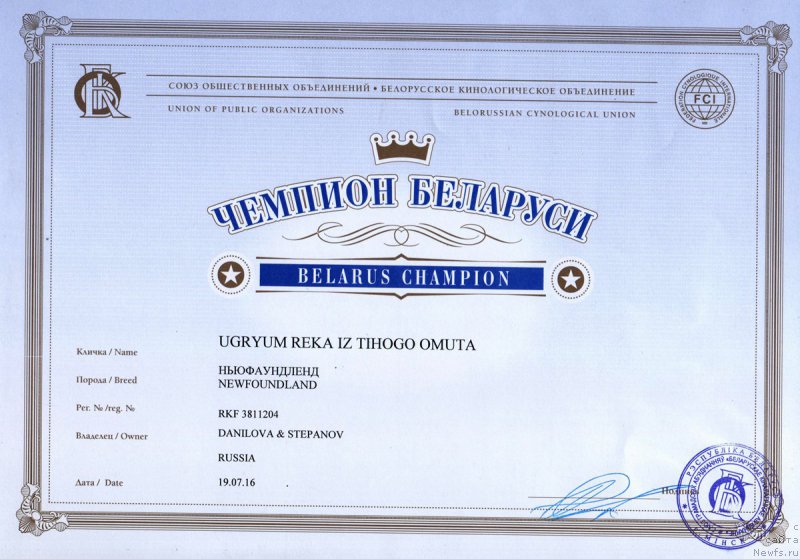 Фото: ньюфаундленд Ugryum Reka iz Tihogo Omuta (Угрюм Река Из Тихого Омута)