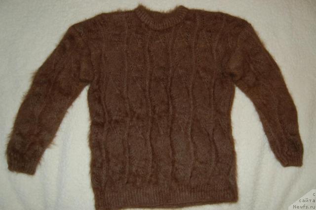 Фотография № 21170