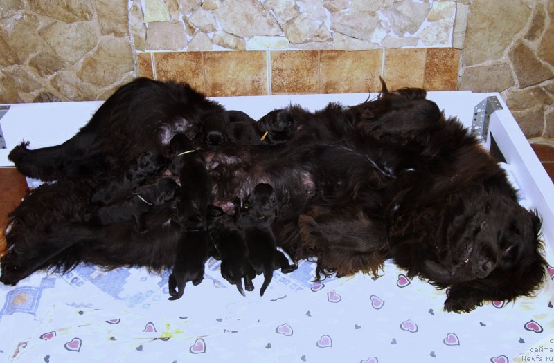 Фотография № 211707