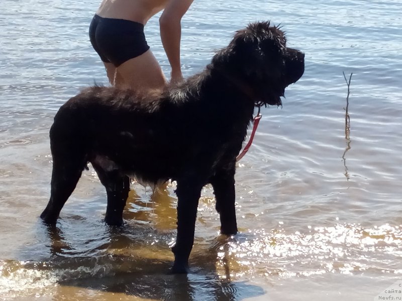 Фото: Матвей