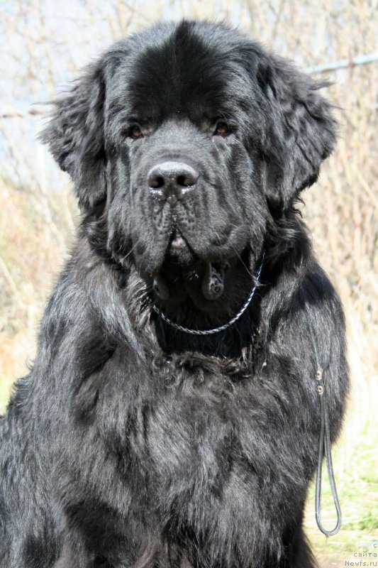 Фотография № 211736