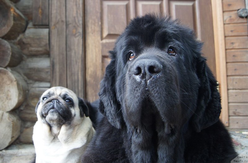 Фотография № 211753