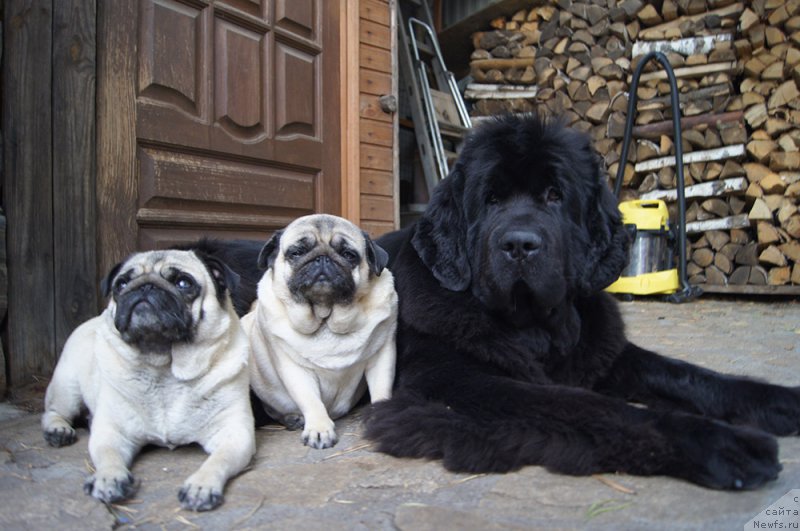 Фотография № 211756