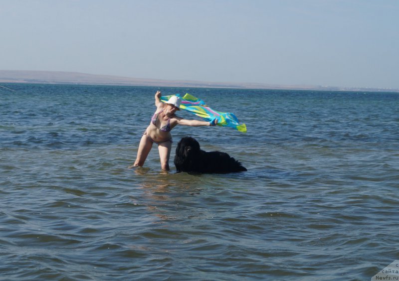 Фотография № 211759