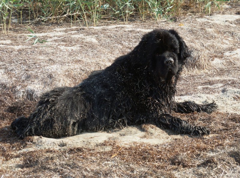 Фотография № 211761