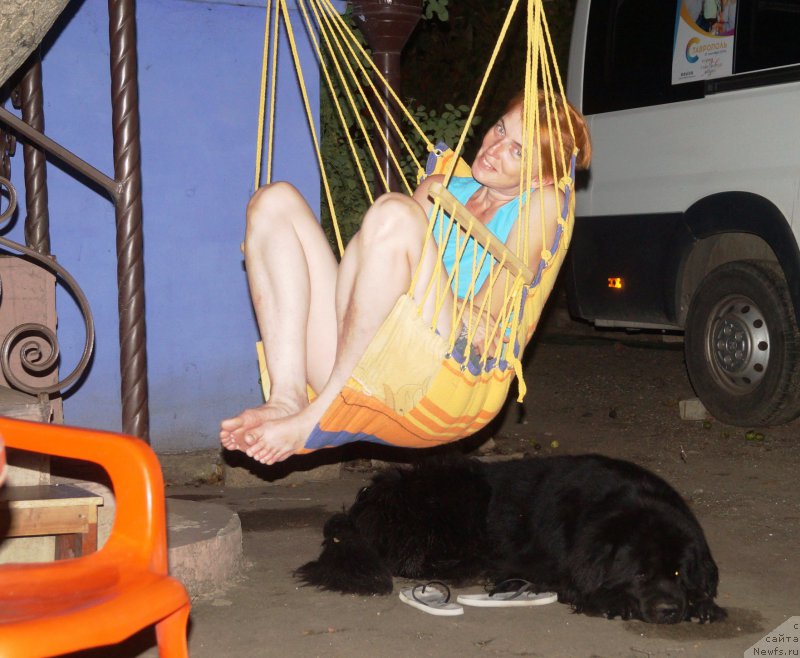 Фотография № 211762