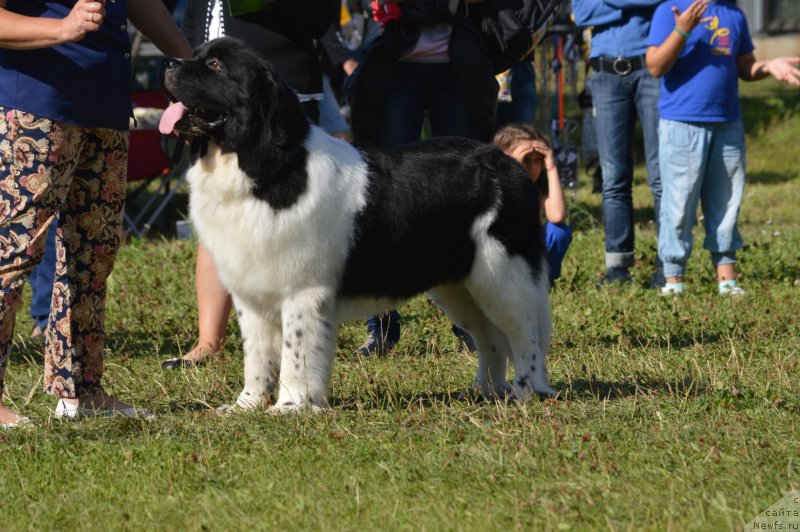 Фото: Natal'ya YAkimova (Наталья Якимова)