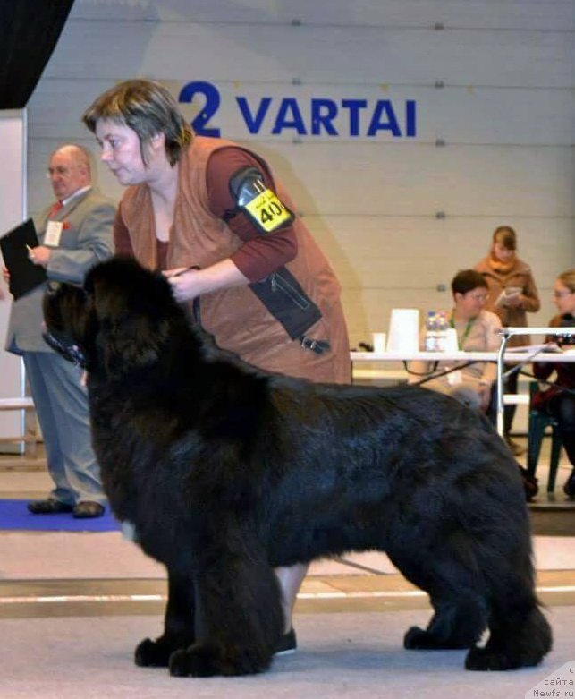 Фотография № 211831