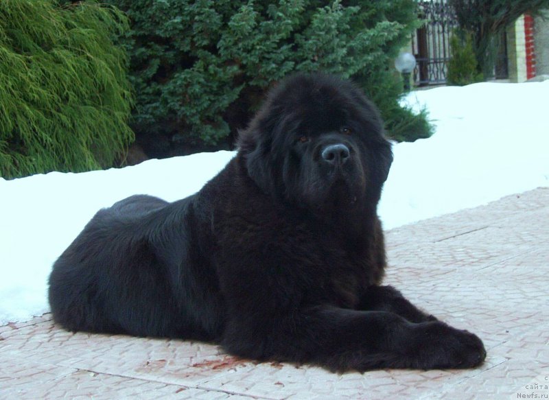 Фотография № 211834