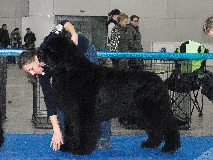 Фотография № 211837