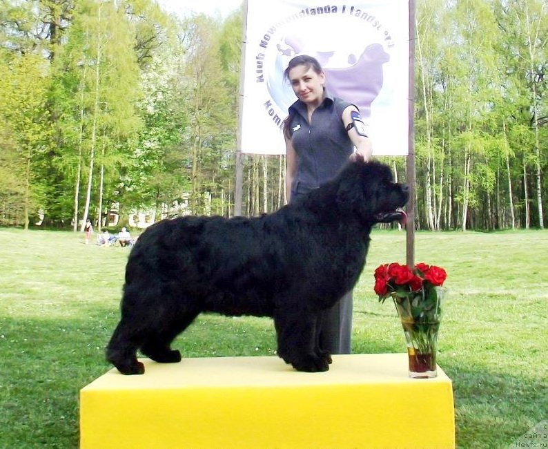 Фотография № 211839