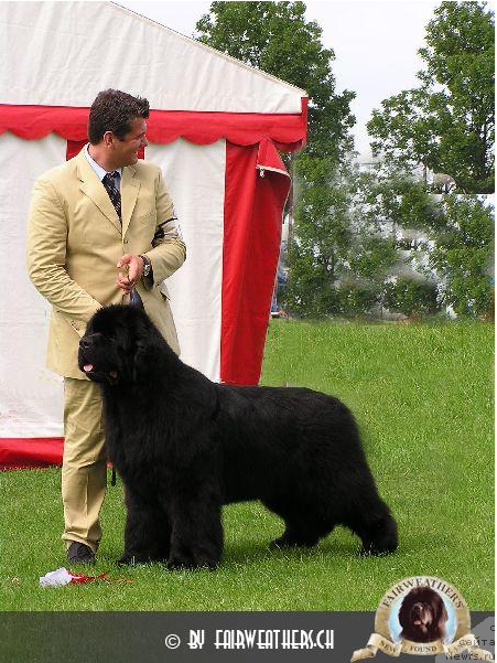 Фотография № 211841