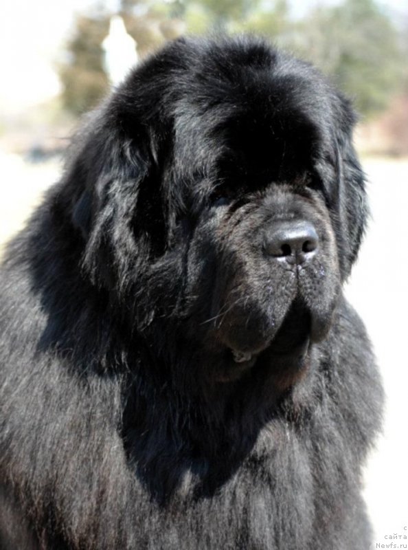 Фотография № 211842