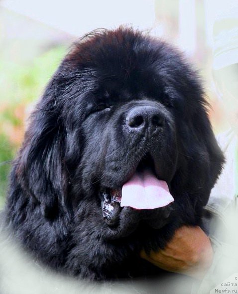 Фотография № 211844