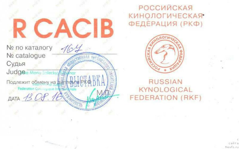 Фотография № 211847