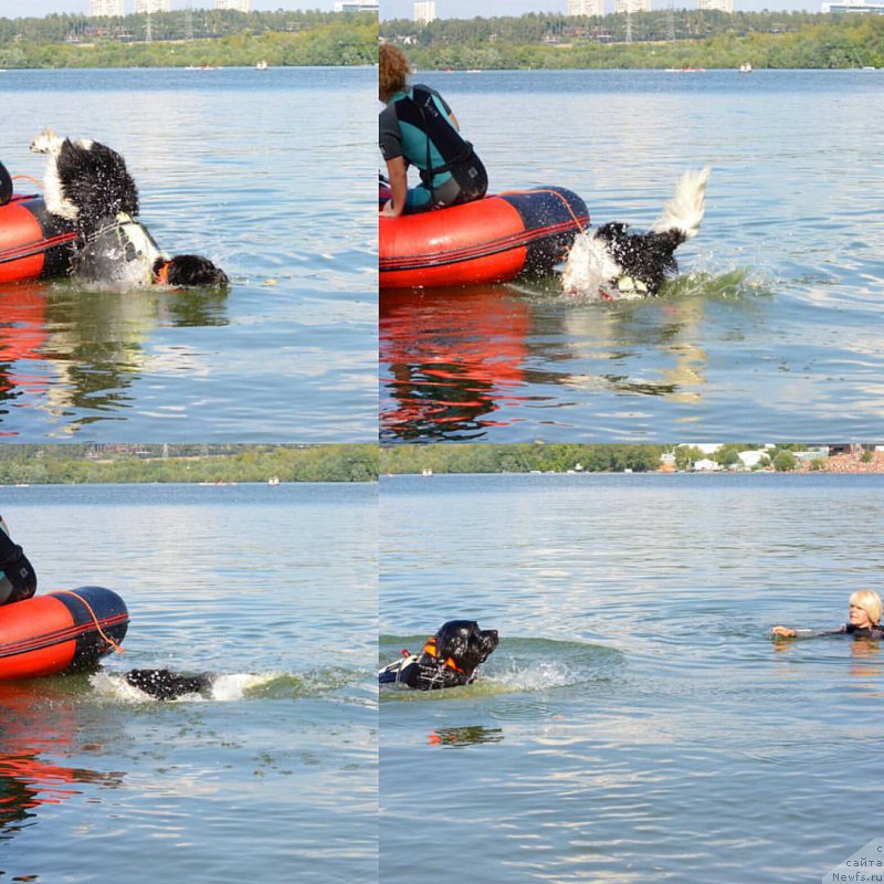 Фотография № 211885