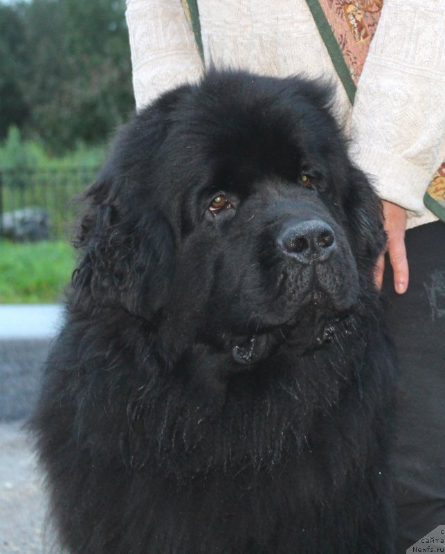 Фотография № 211902