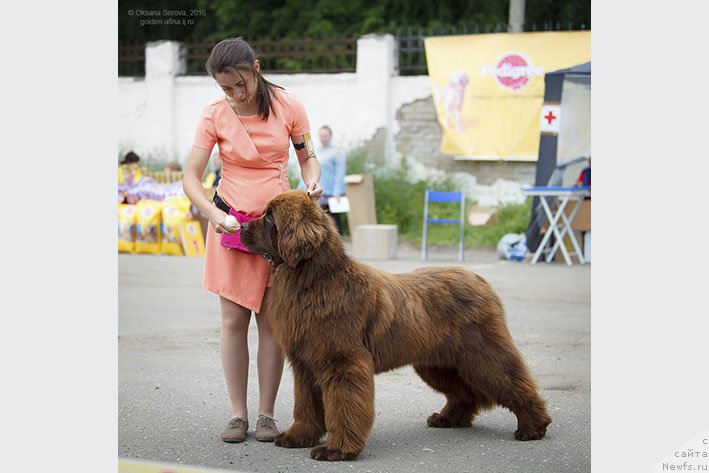 Фотография № 211908