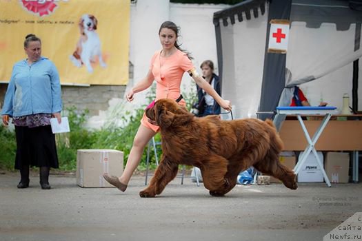 Фотография № 211910