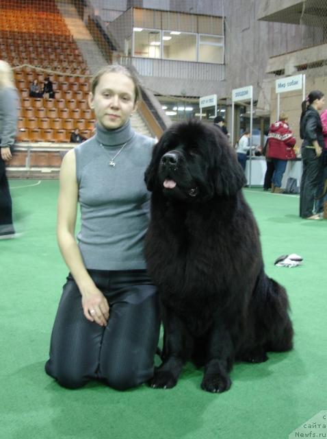 Фото: Tat'yana Rozanova (Татьяна Розанова), ньюфаундленд CHansi iz Zolotogo Treugol'nika (Чанси из Золотого Треугольника)