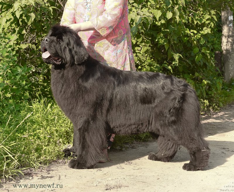 Фотография № 211934