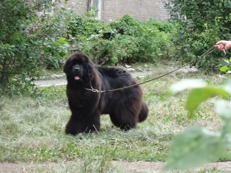 Фотография № 211949