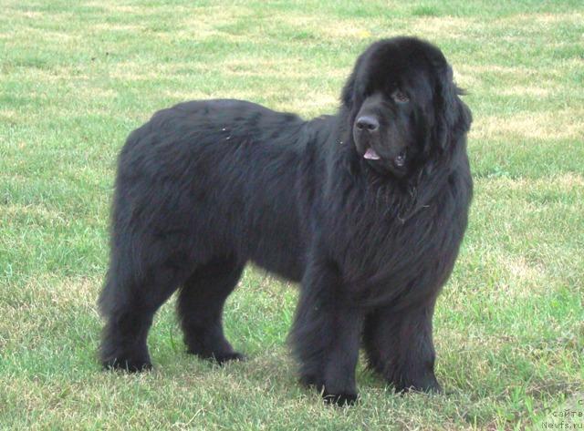 Фотография № 21199