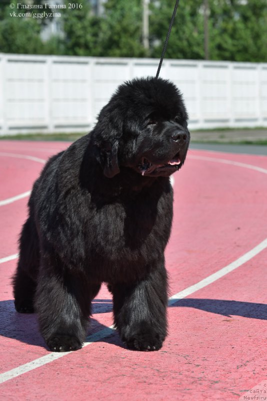 Фотография № 212036